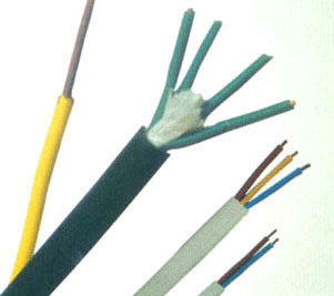 氟塑料絕緣聚氯乙烯護(hù)套控制電纜